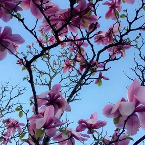 Meet your Posher, Ariana